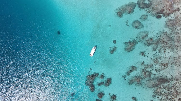 Port Douglas outer reef snorkelling tour