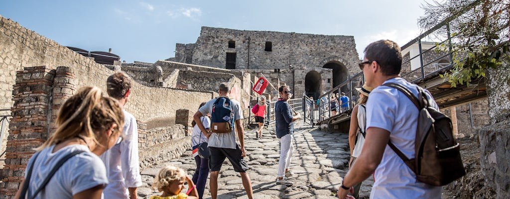 Visita guiada sem fila a Pompeia saindo de Sorrento
