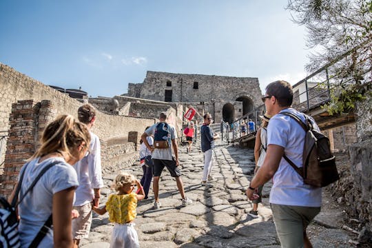 Tour guidato salta fila di Pompei da Sorrento