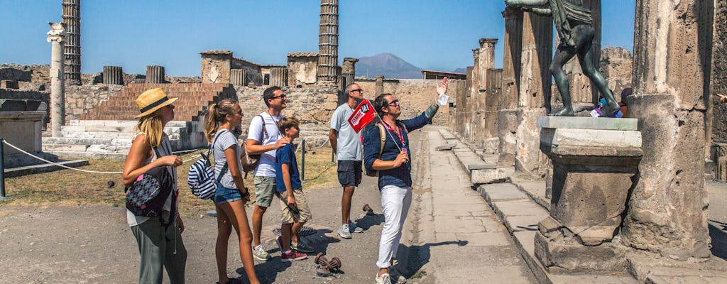 Pompeje i wulkan Wezuwiusz pomijają wycieczkę z przewodnikiem z Sorrento