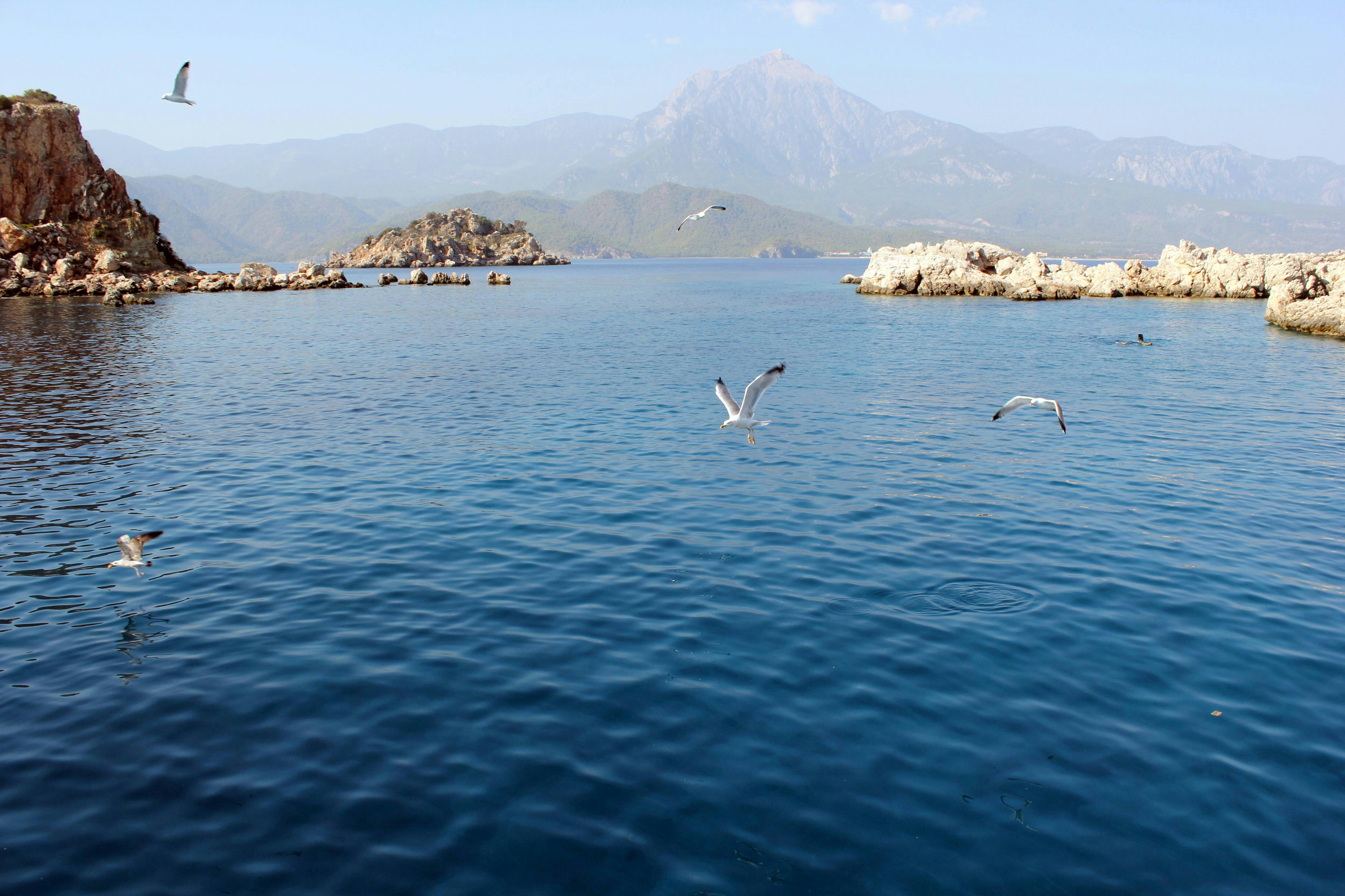 Kemer Scuba Diving for Beginners