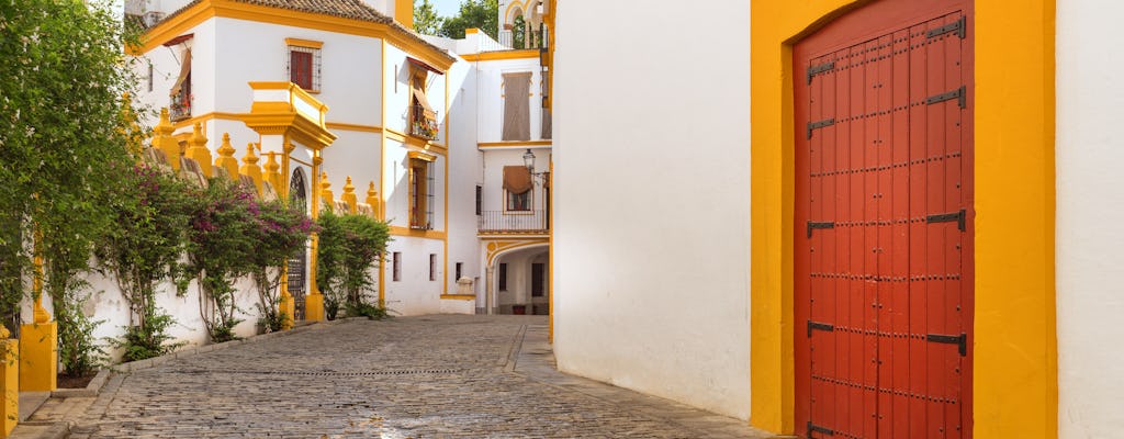 Hoogtepunten van wandeltocht door Sevilla