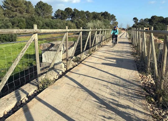 Visite à vélo du marché d'Artá sur la piste cyclable Via Verde