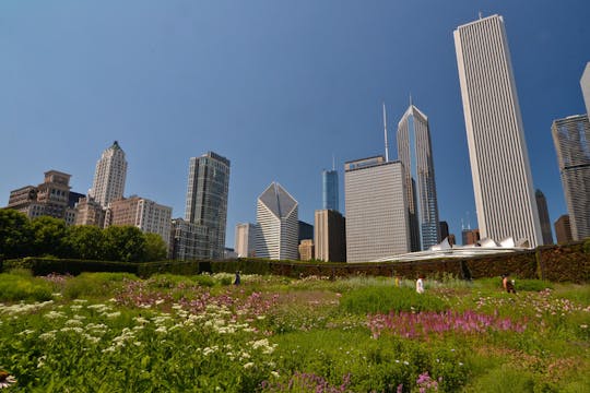 Chicago Millennium Park walking audio tour