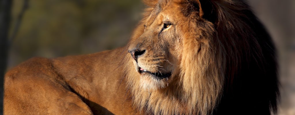 Zoo di Parigi (Parc Zoologique de Paris)