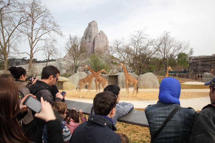 Paris Zoo (Parc Zoologique de Paris)