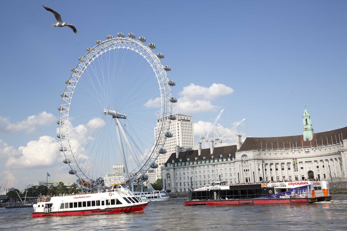 Tootbus London + River Cruise 24/48H