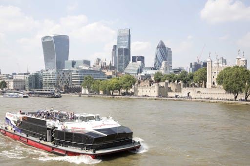 Tootbus London + River Cruise 24/48H
