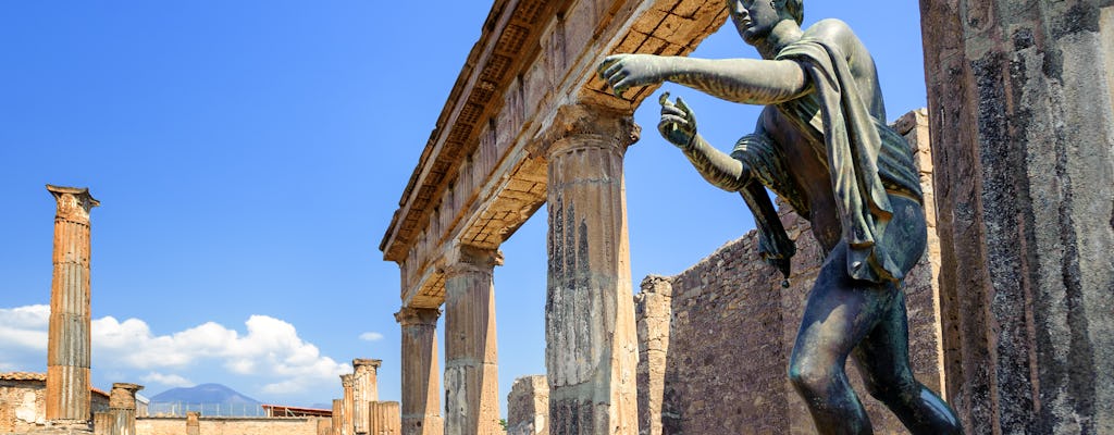 Pompeya: Evite las colas + viaje de ida y vuelta en autobús desde Roma