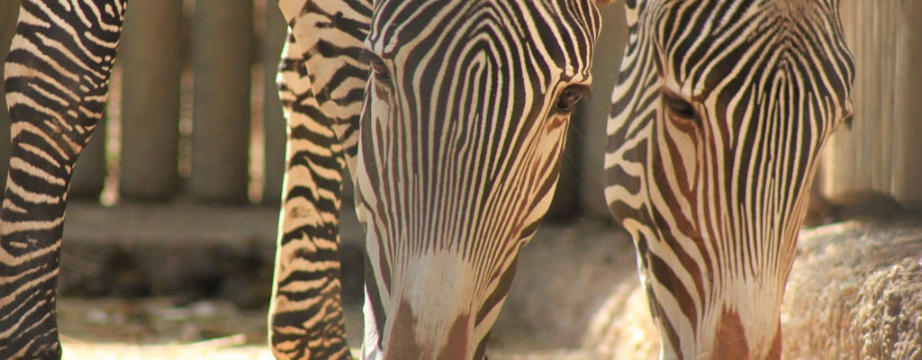 Bioparco: Der Zoo von Rom