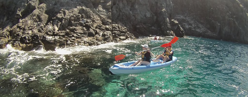 Tenerife kayak- en snorkeltocht