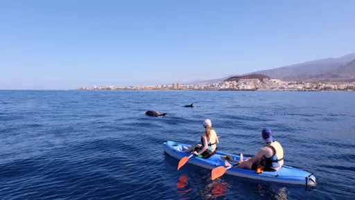 Tenerife Kayak & Snorkelling Tour
