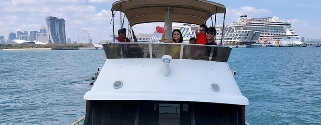 Tour guiado en yate de lujo por las islas del sur con teleférico de Singapur