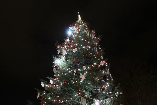 Tour mágico de Navidad en Pula