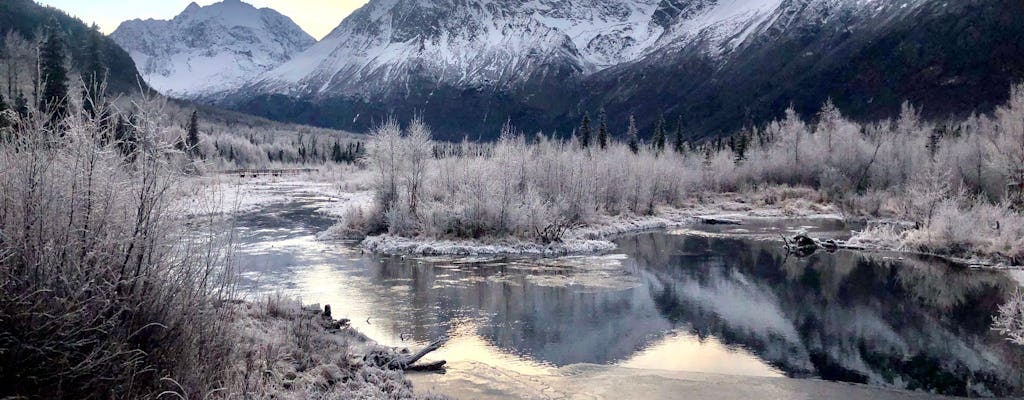 Chugach State Park winter valley and forest hike