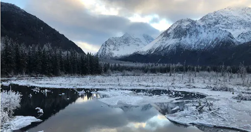 fareharbor-gohikealaska|248018-453101
