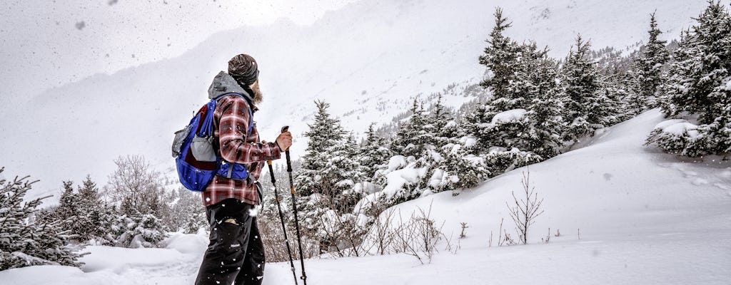 Advanced snowshoeing adventure in Anchorage