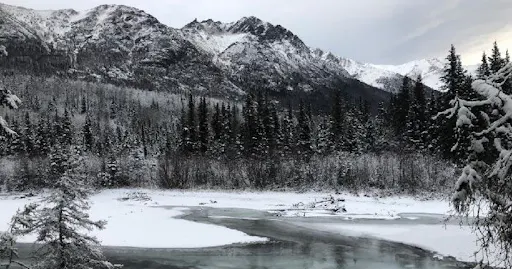 fareharbor-gohikealaska|248018-453104