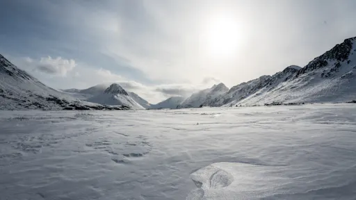 fareharbor-gohikealaska|246669-527842