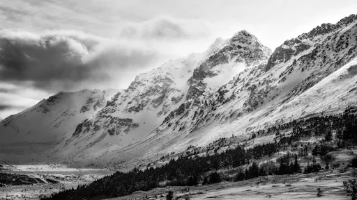 fareharbor-gohikealaska|246669-527847