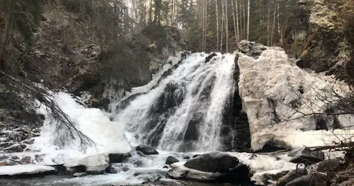 fareharbor-gohikealaska|204105-453134