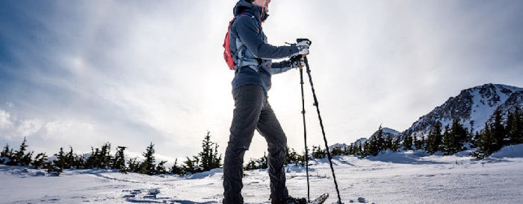 Beginners snowshoeing adventure in Anchorage