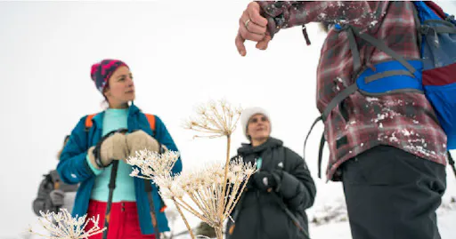 fareharbor-gohikealaska|246669-453045