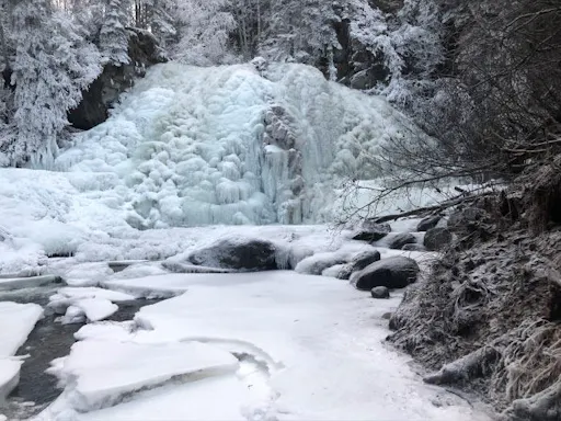 fareharbor-gohikealaska|204105-453137
