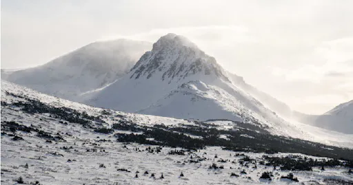 fareharbor-gohikealaska|246669-453046