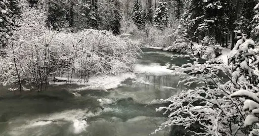 fareharbor-gohikealaska|204105-453138