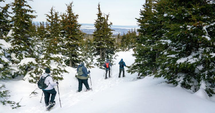 Beginners snowshoeing adventure in Anchorage