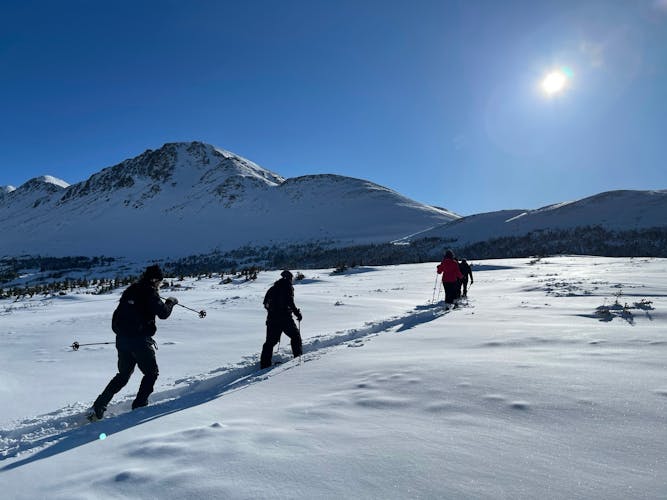 Beginners snowshoeing adventure in Anchorage