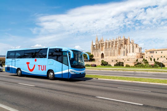 Tour di Palma con opzioni per la cattedrale e Valldemossa