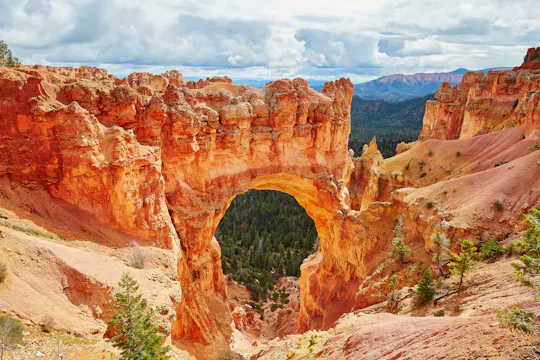 Avventura a cavallo di 1,5 ore al Bryce Canyon