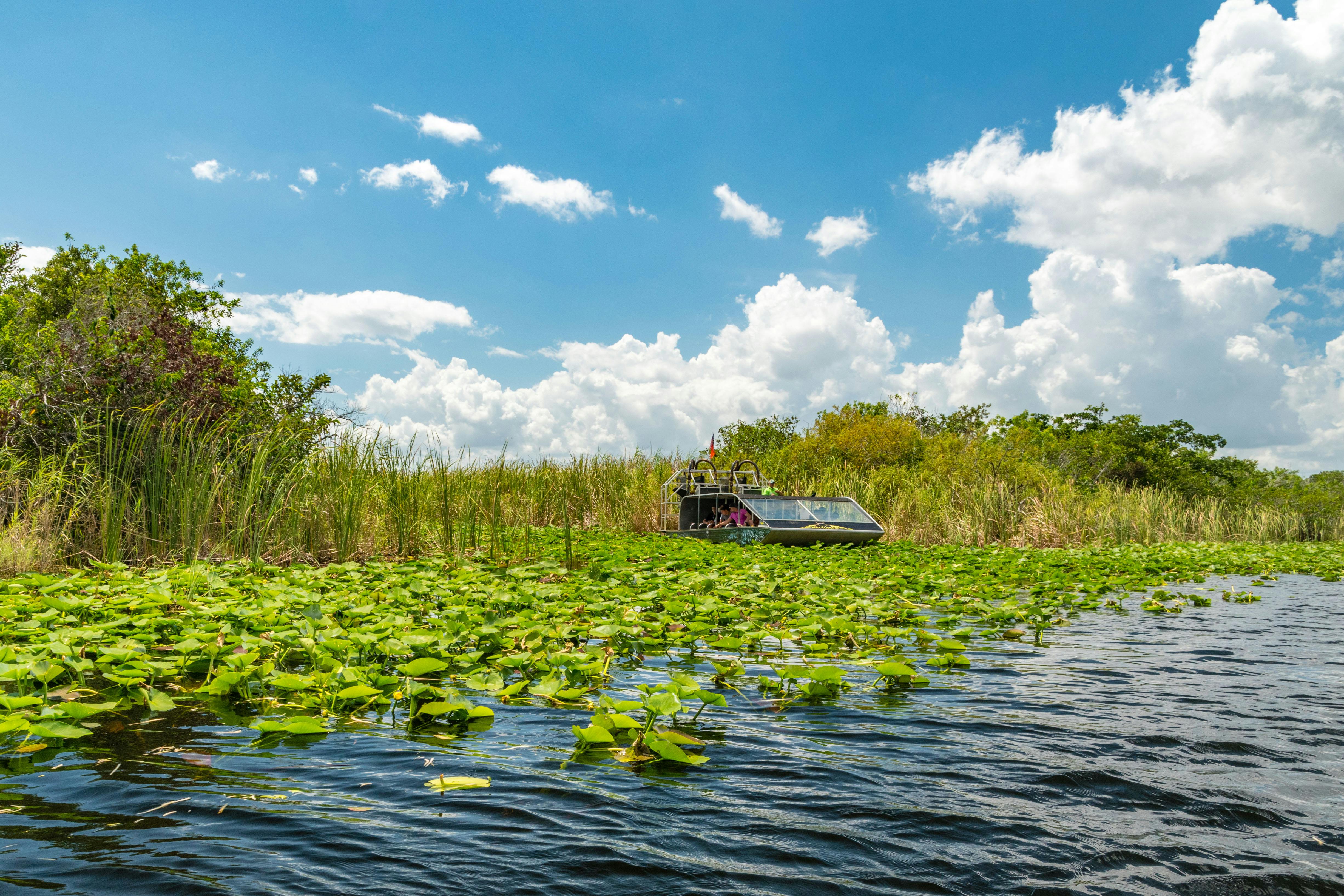 Billet d'entrée aux Everglades avec balade en hydroglisseur et spectacle animalier