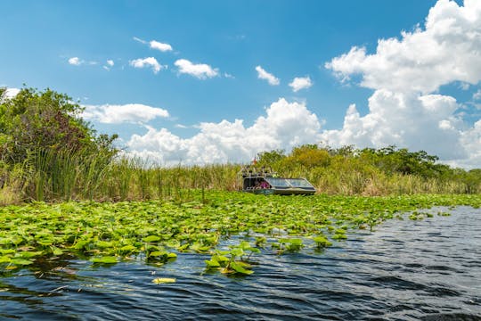 Everglades admission ticket with airboat ride and wildlife show
