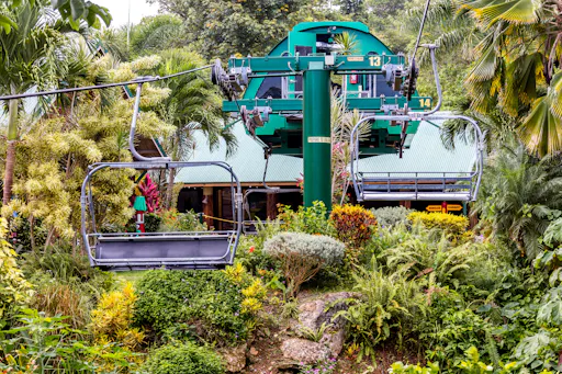 Mystic Mountain Platinum Exclusive