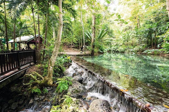 Mystic Mountain Avonturenpark Ticket met Privé Transfer