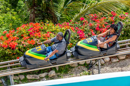 Mystic Mountain Platinum Exclusive