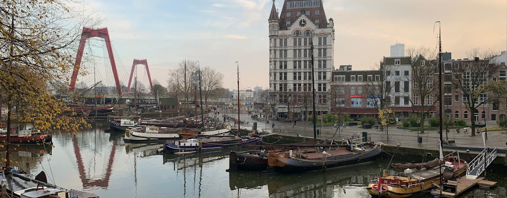 Tour privado de La Haya y Rotterdam