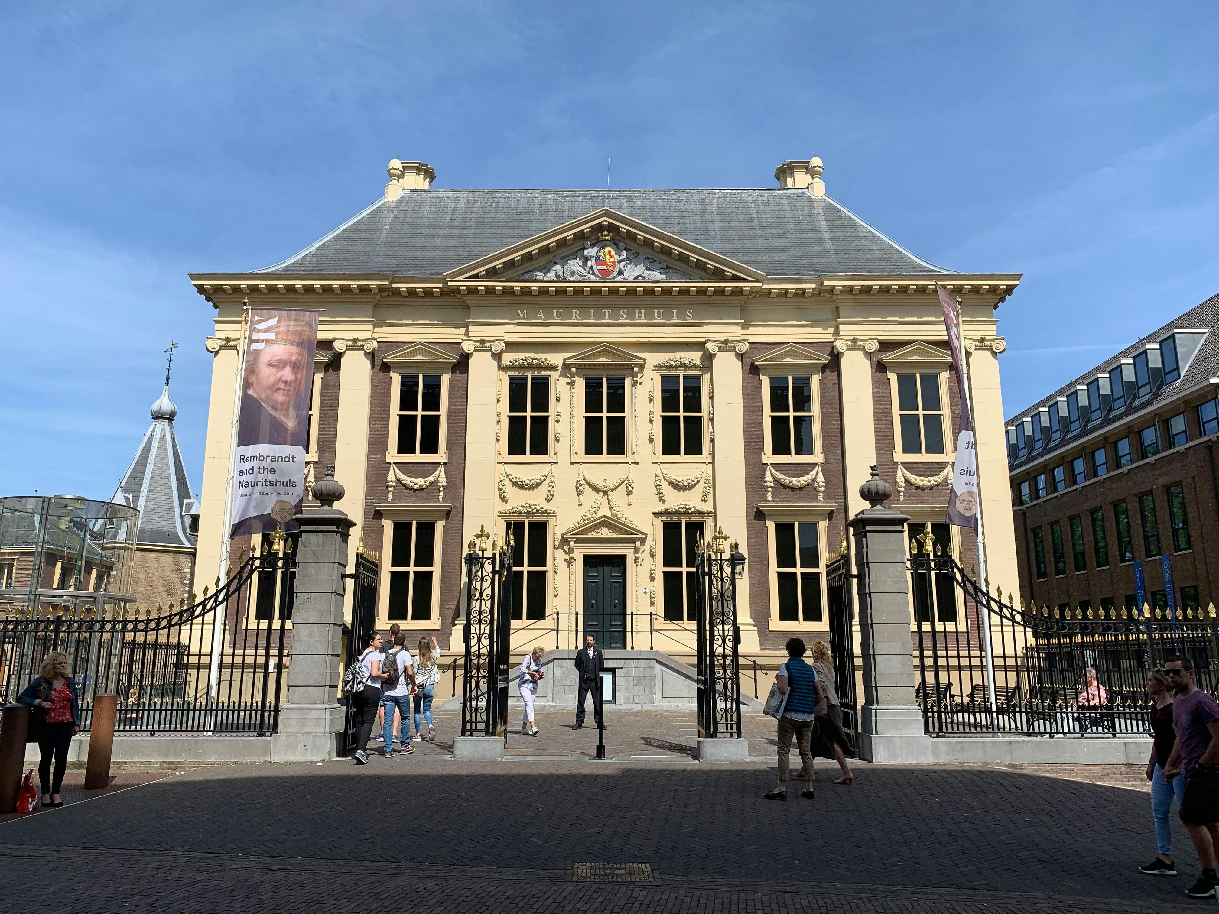 Visite privée à pied de La Haye
