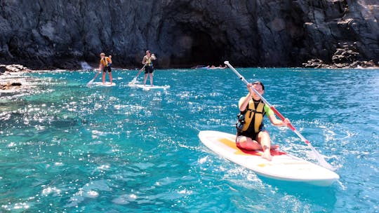 Excursion de stand-up paddle et de plongée en apnée à Tenerife