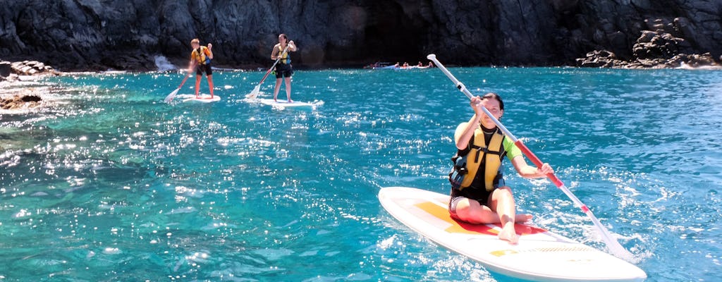 Teneriffa Stand-up Paddle & Schnorchel Tour
