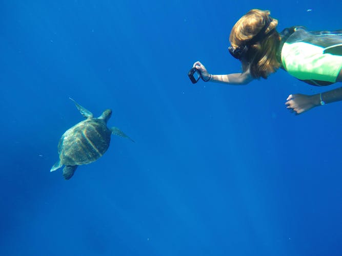 Tenerife Stand-up Paddle & Snorkelling Tour