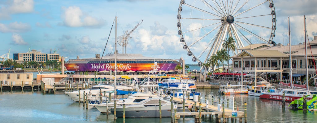 Miami 90-minute Biscayne Bay cruise with optional hop-on hop-off bus and Skyviews wheel