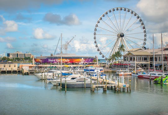 Miami Biscayne Bay-cruise van 90 minuten met optionele hop-on hop-off-bus en Skyviews-wiel