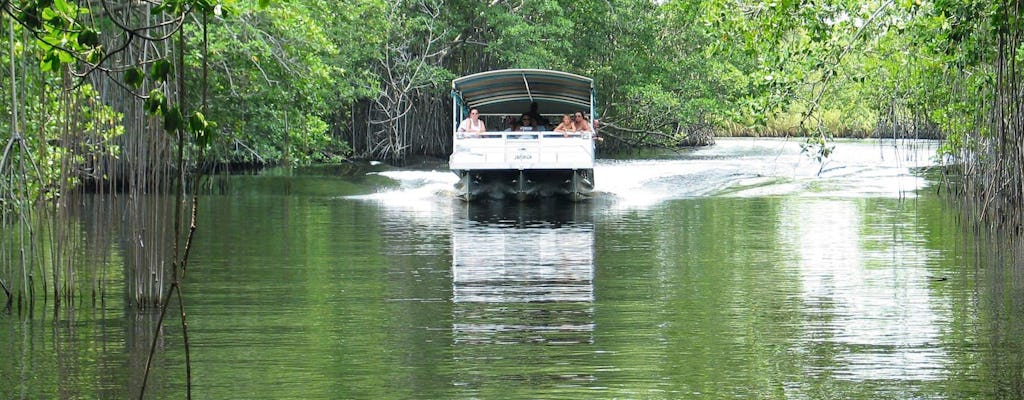 Private Black River & YS Falls Tour