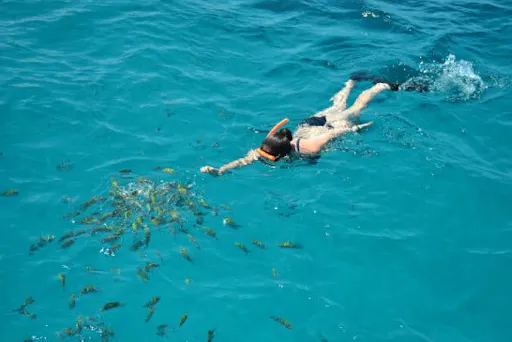 Half-Day Falmouth to Montego Bay Cruise