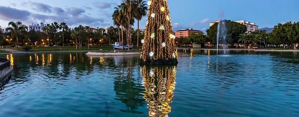 Magische kersttour in Malaga