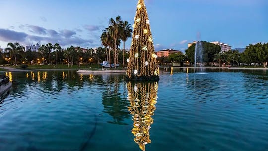 Magic Christmas tour in Malaga